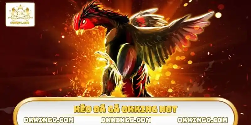 Đá gà OKKING cập nhật kèo cược thường xuyên 24/7