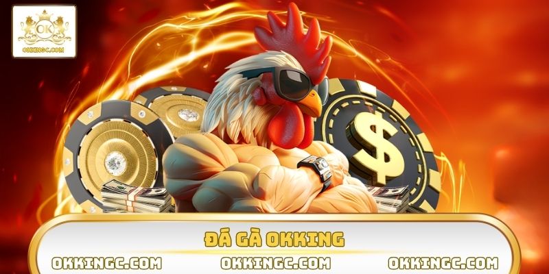 Đá gà OKKING