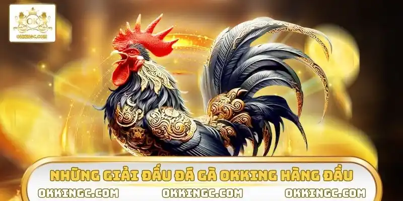 Những giải đấu đá gà OKKING hàng đầu