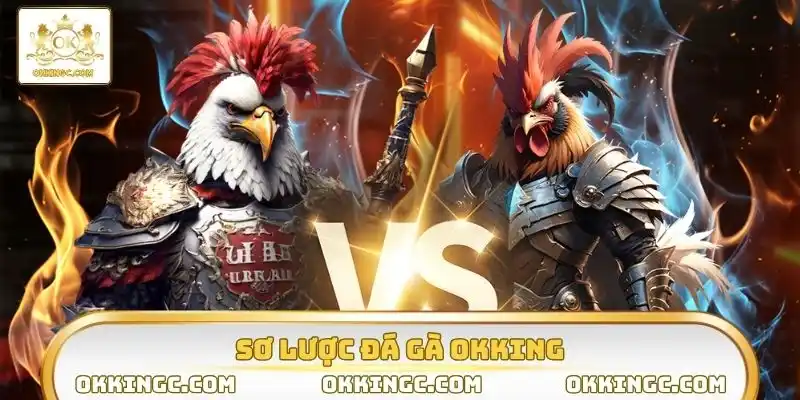 Sơ lược đá gà OKKING